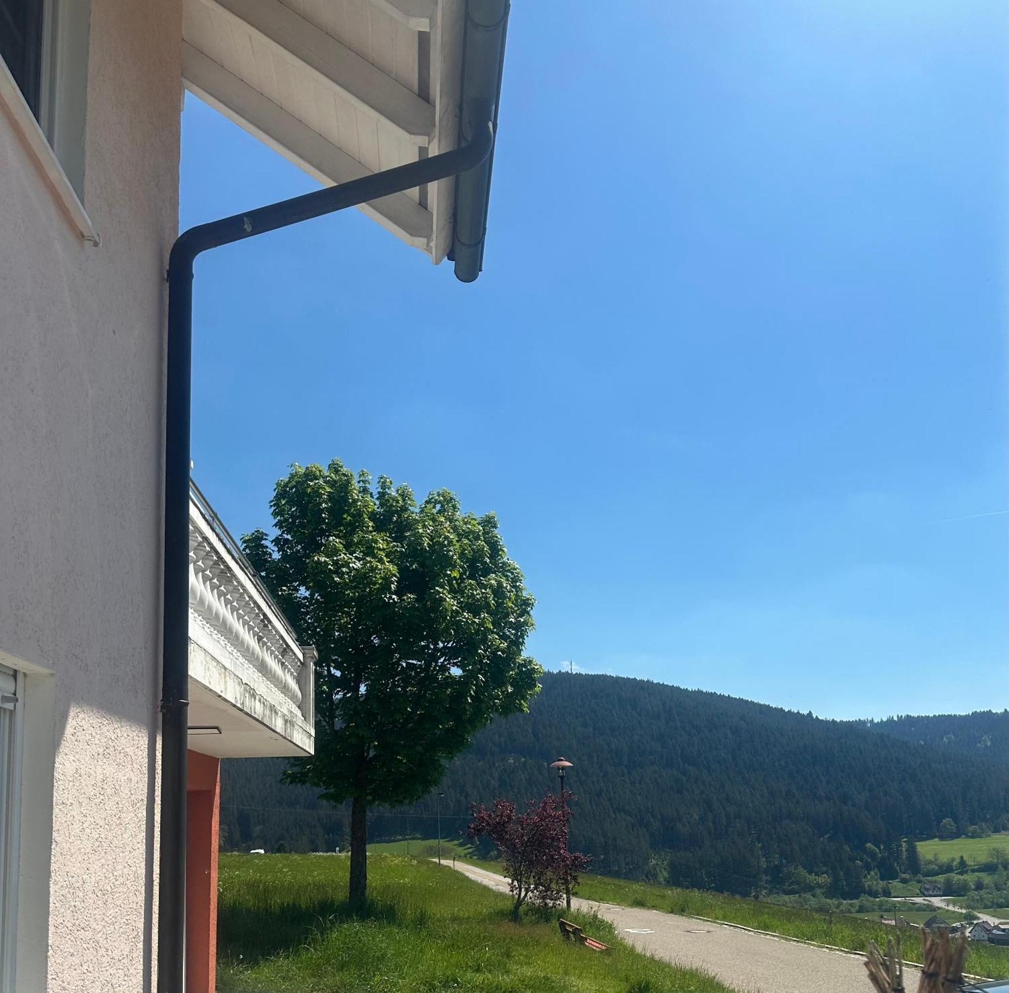 Natalie Apartment Baiersbronn Bagian luar foto